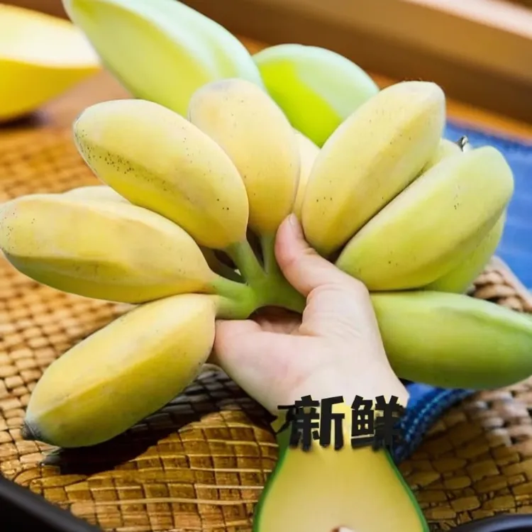 广东苹果蕉粉蕉应季水果香蕉超甜薄皮现摘新鲜香甜软糯原产地直发