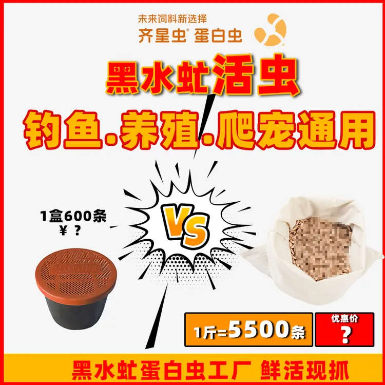 钓鱼神器黑水虻活虫打窝挂饵鱼狂开口万能饵鲜活养殖鸡鸭鱼异宠