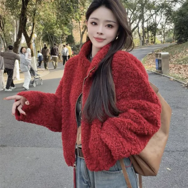 时尚百搭立领短外套2025冬新款减龄加绒加厚洋气保暖小个子上衣