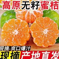 高山青皮无籽蜜橘新鲜当季水果酸甜多汁薄皮整箱包邮-GT