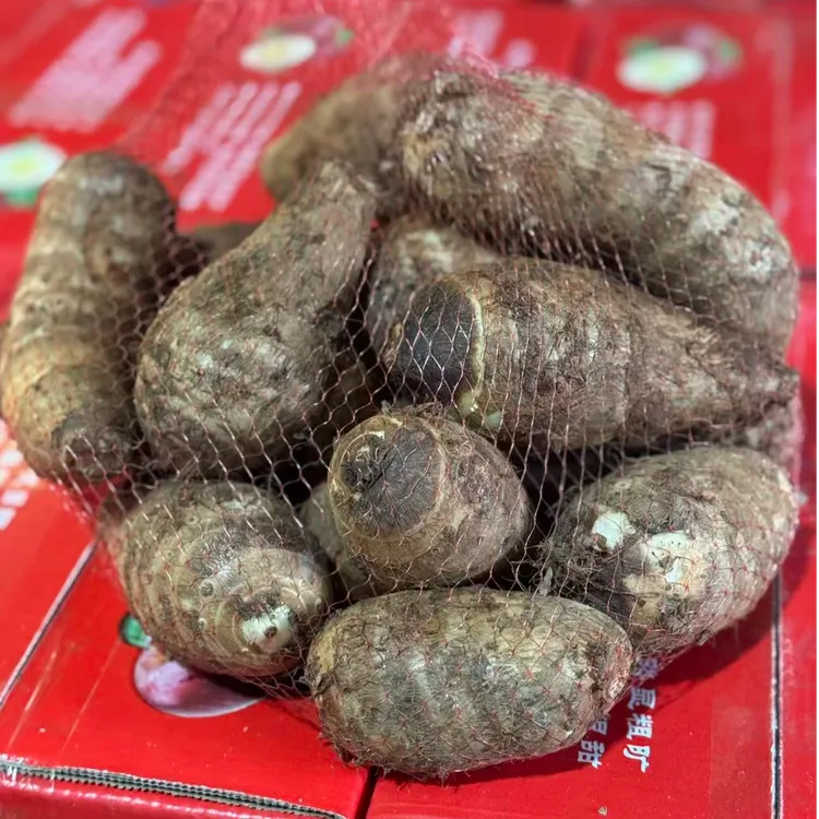 「香菜果园」攀枝花牛奶芋头口感绵密香甜软糯应季