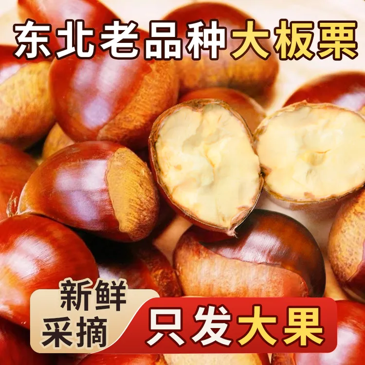 东北老品种精选大果板栗（四斤送一斤）到手五斤新鲜美味
