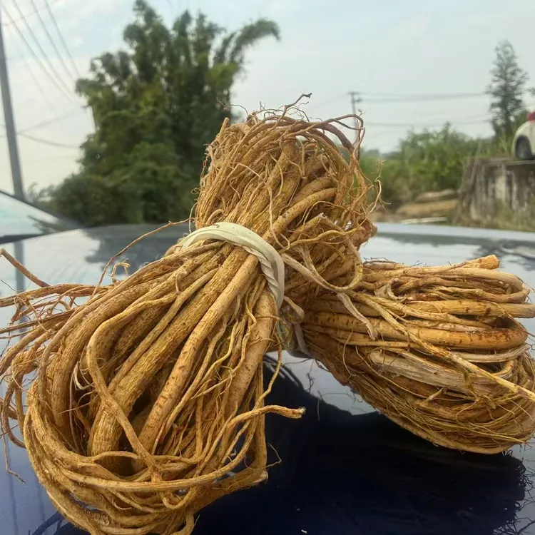 广西农家土特产五指毛桃客家特色地道煲汤料