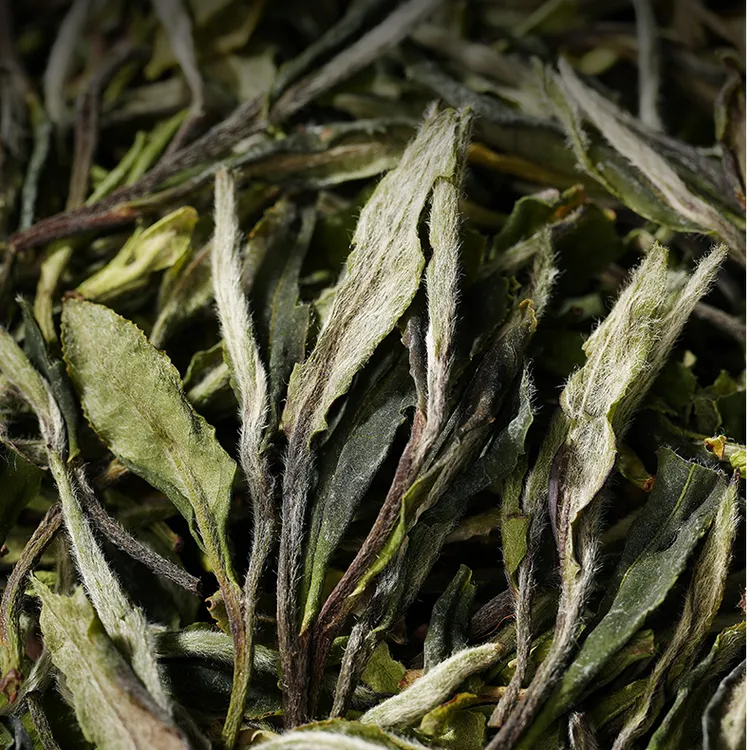 新茶【2026年甜蜜蜜花香白牡丹】一芽一二叶花香明显(支持正装试喝)