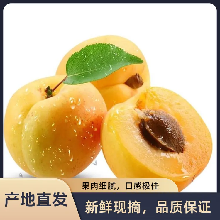 陕西杏农户直采直发丰园金太阳金寿脆爽酸甜红黄杏新鲜采摘包邮