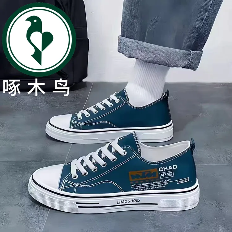 【正品】啄木鸟男鞋韩版夏季2025新款百搭运动休闲薄款男士帆布鞋
