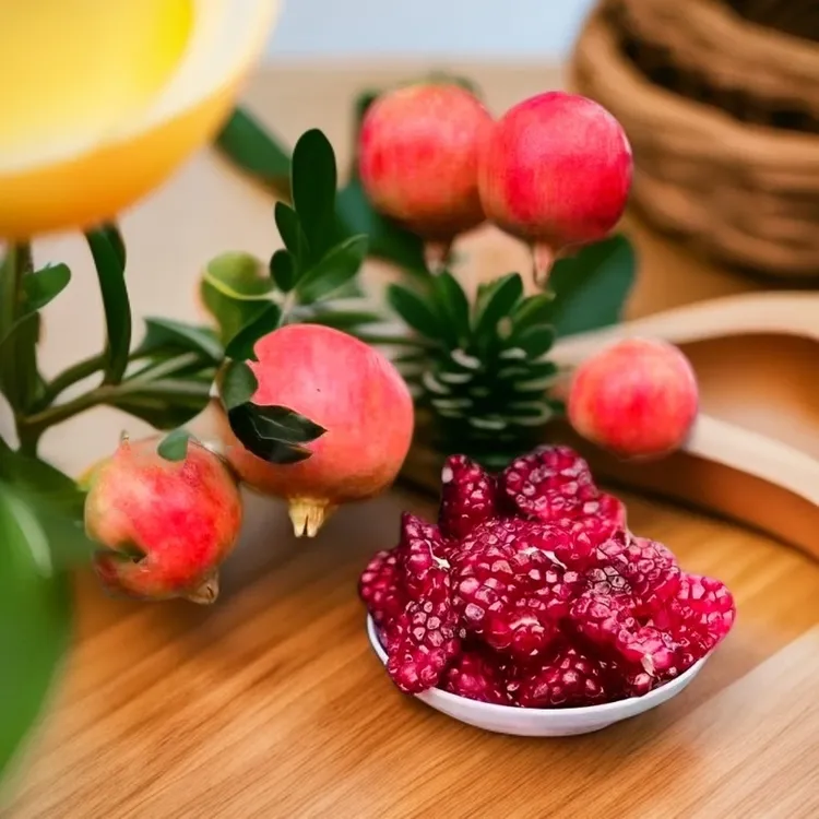 四川会理软籽石榴树上鲜果新鲜应季爆甜水果