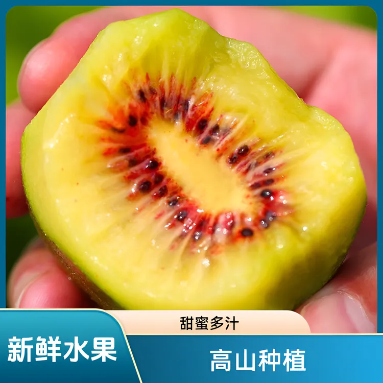 咪佳甜四川红心猕猴桃新鲜大果奇异果当季应季孕妇水果