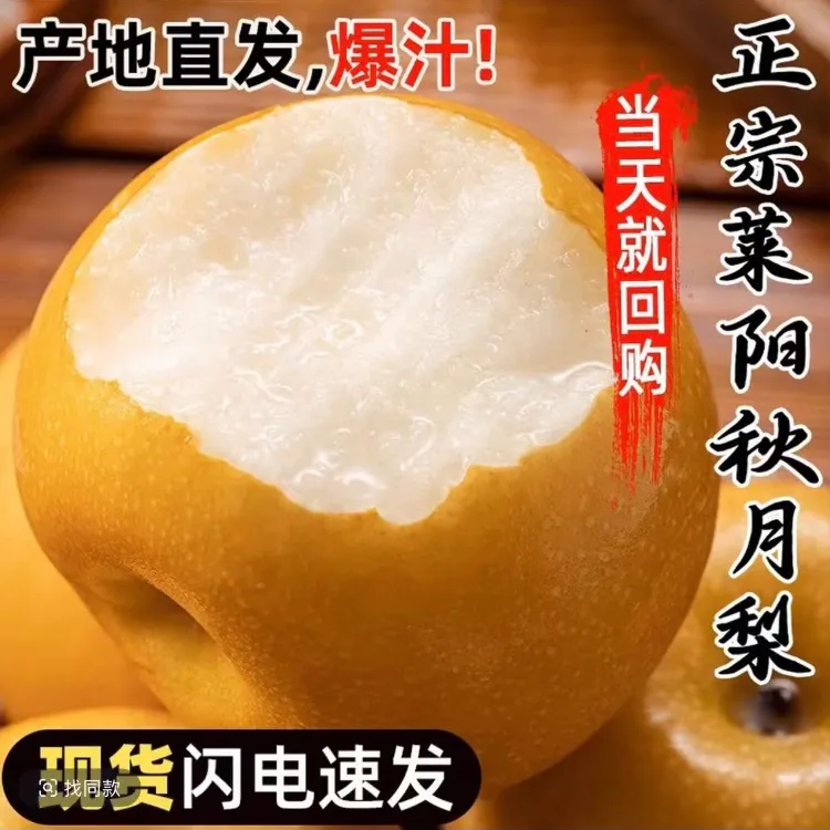 尝鲜箱12头山东秋月梨新鲜现摘现发中秋脆甜多汁当季应季水果顺丰