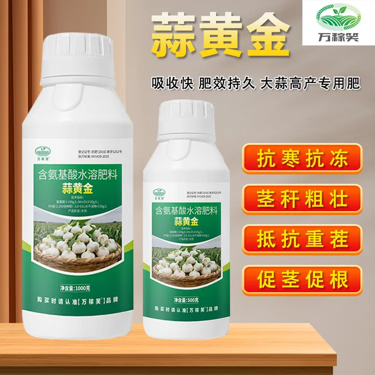 蒜黄金大蒜专用生根壮苗返青促长提质增产膨大蒜头抗寒抗冻叶面肥