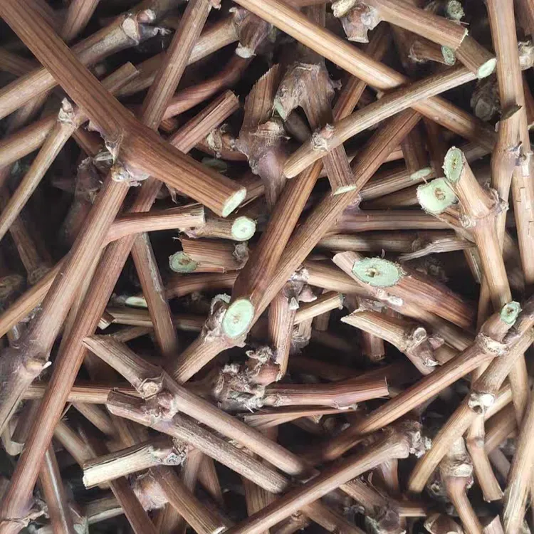 葡萄枝条12月20号左右发货