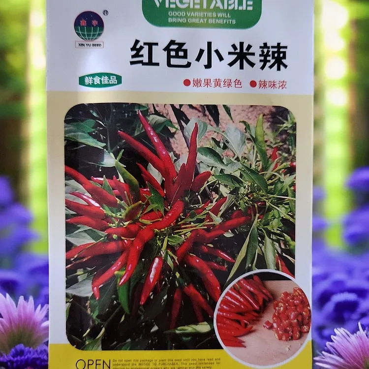 红色小米辣种子（拍一发二）