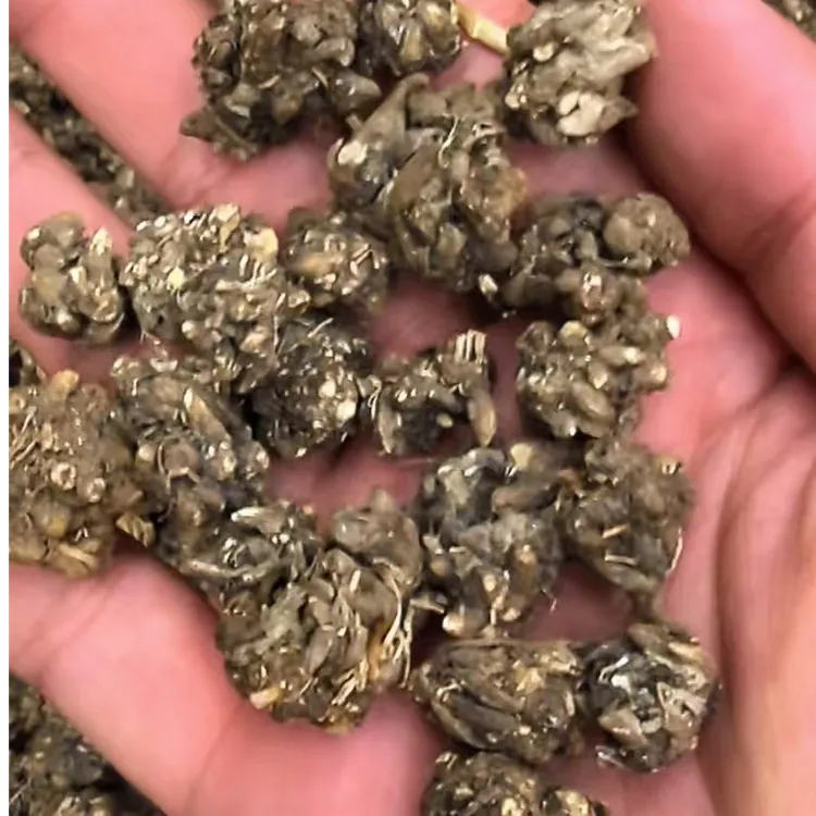 云南当季新猫爪草无硫自然晾晒爪爪分明1