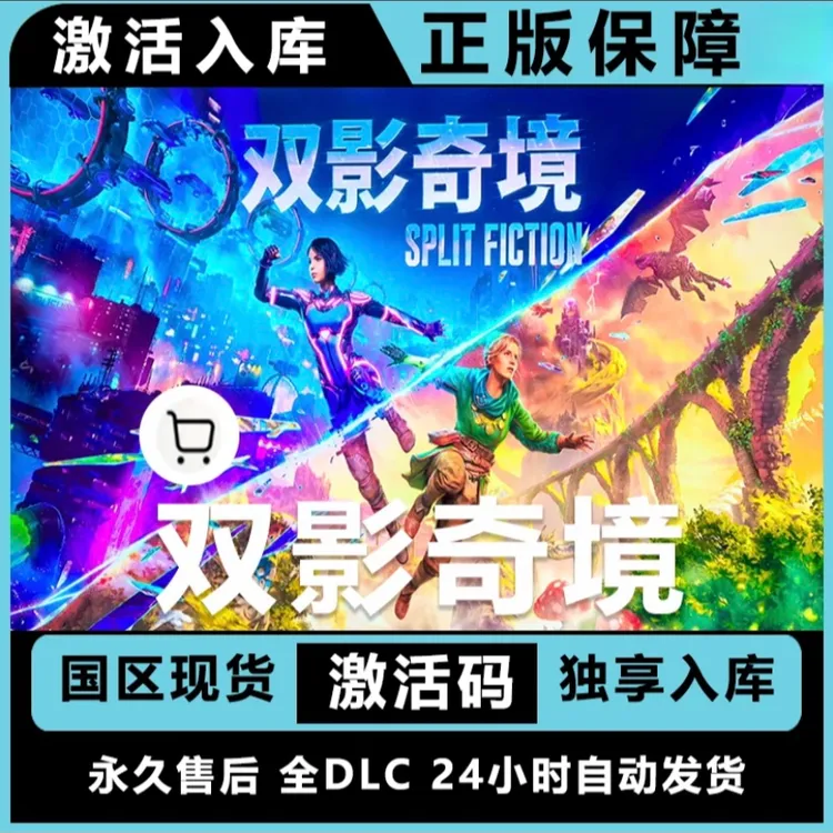 双影奇境 split fiction 联机 steam 正版激活入库 电脑游戏