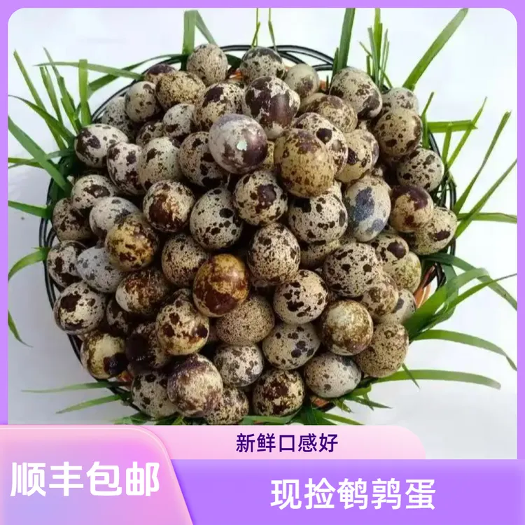 【顺丰包邮】现捡现发新鲜鹌鹑蛋小鸟蛋超大小鸟蛋鹌鹑蛋食用鹌鹑蛋