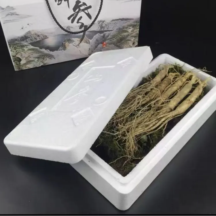 东北长白山鲜挖鲜参