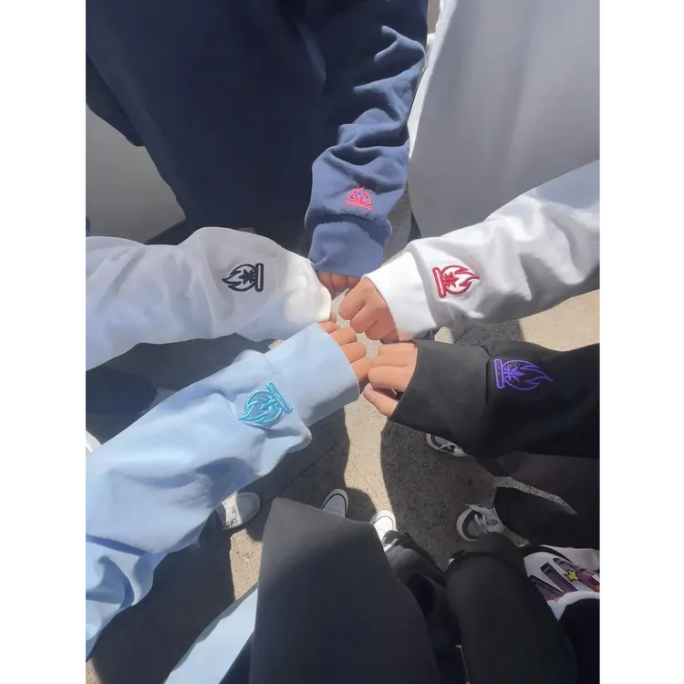 LIGGICC小火苗刺绣卫衣男秋季美式复古重磅小领口长袖t恤情侣外套