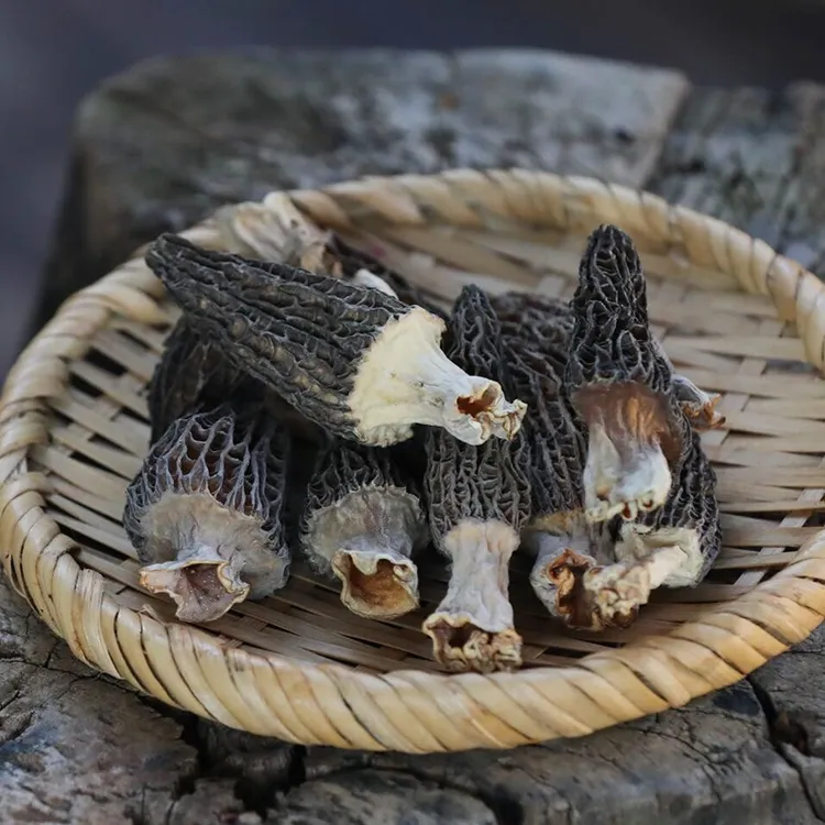 甄选特产羊肚菌50克