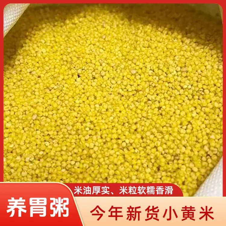 优质农家新小米营养丰富适合月子食用的五谷杂粮米