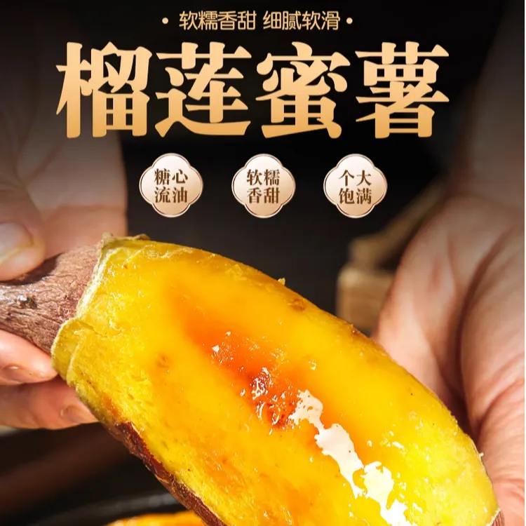 正宗云南榴莲蜜薯红薯软糯香甜黄心玛莎莉烤地瓜红瑶番薯