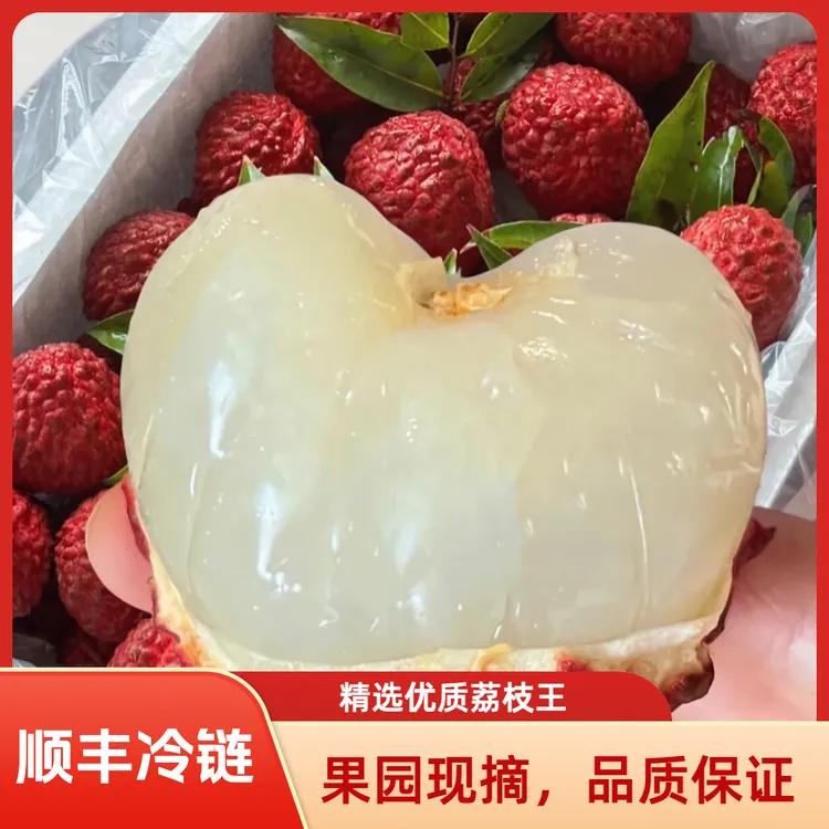 海南火山荔枝王新鲜现摘顺丰冷链空运特大荔枝当季水果海南发货