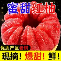 福建产地正宗红心蜜柚新鲜应季水果皮薄肉厚香甜多汁