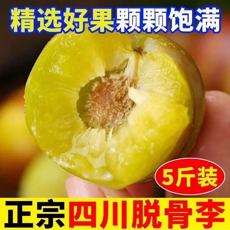 四川半边红本地土李子清脆空心脱骨李当季新鲜现摘茵红李