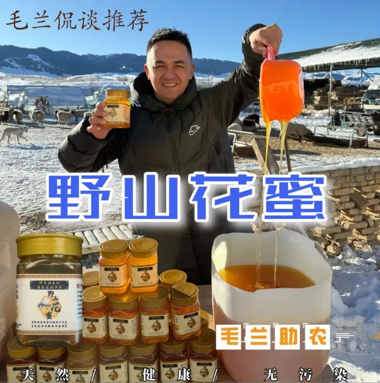老【毛兰侃谈推荐】空运包邮新疆伊犁特克斯塞克草原野山花蜂蜜