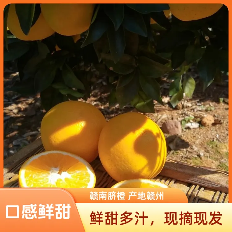 赣南脐橙橙子现摘现发口感鲜甜纽荷尔脐橙
