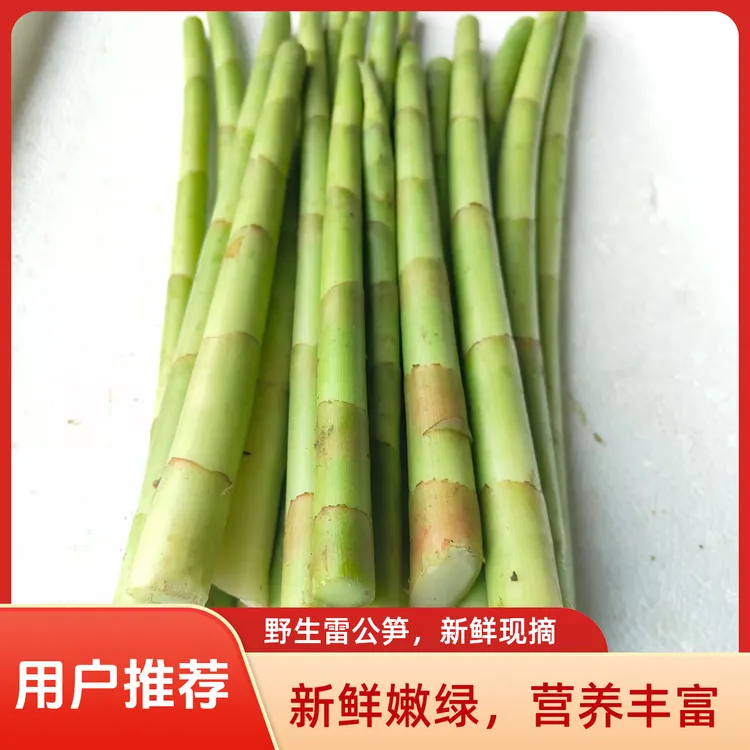新鲜野生雷公笋闭鞘姜广商陆水蕉花嫩芽 海南酸白石笋3斤5斤包邮