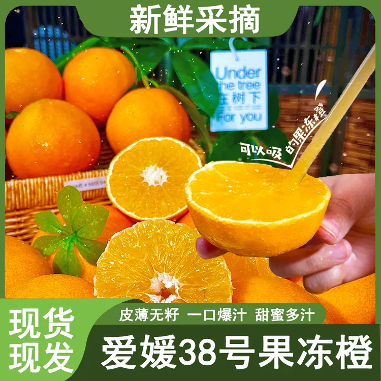 2025年头茬爱媛38号果冻橙新鲜采摘皮薄肉厚香甜爆汁产地直发