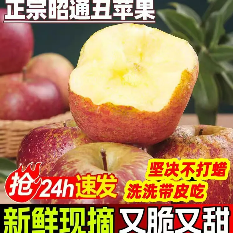 正宗云南昭通红富士冰糖心丑苹果新鲜采摘脆甜多汁产地直发