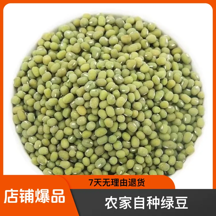【库存不多】老品种毛绿豆农家自种25新绿豆熬粥专用高出沙产地直发