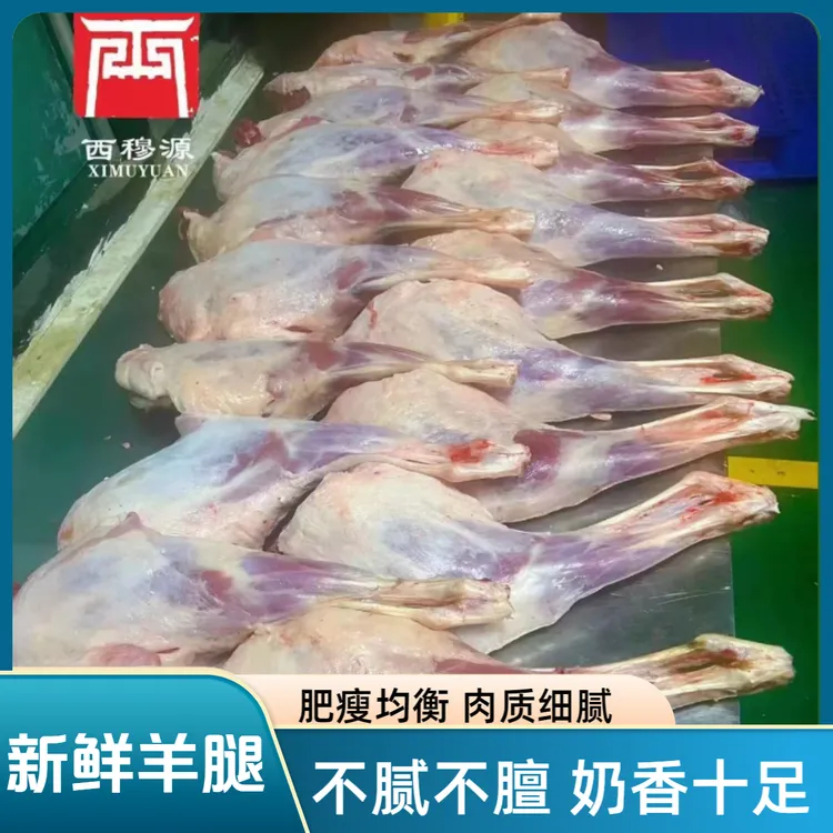 甘肃西穆源清真羊肉去尾羊后腿腱子肉羊腿羔羊肉新鲜冷链包邮直发