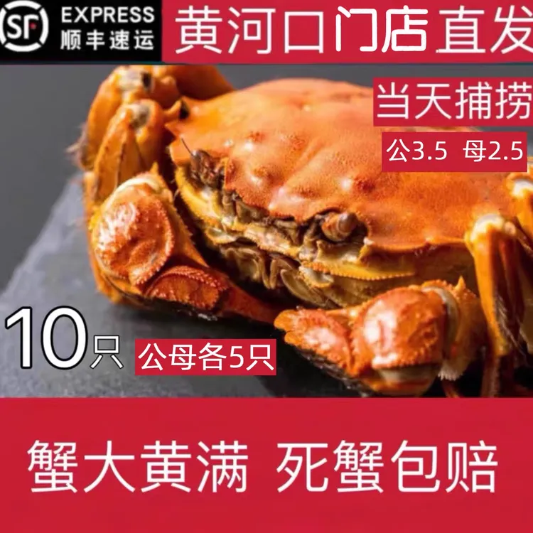 黄河口大闸蟹鲜活水产特大公3.5两母2.5两10只礼盒装 包鲜活