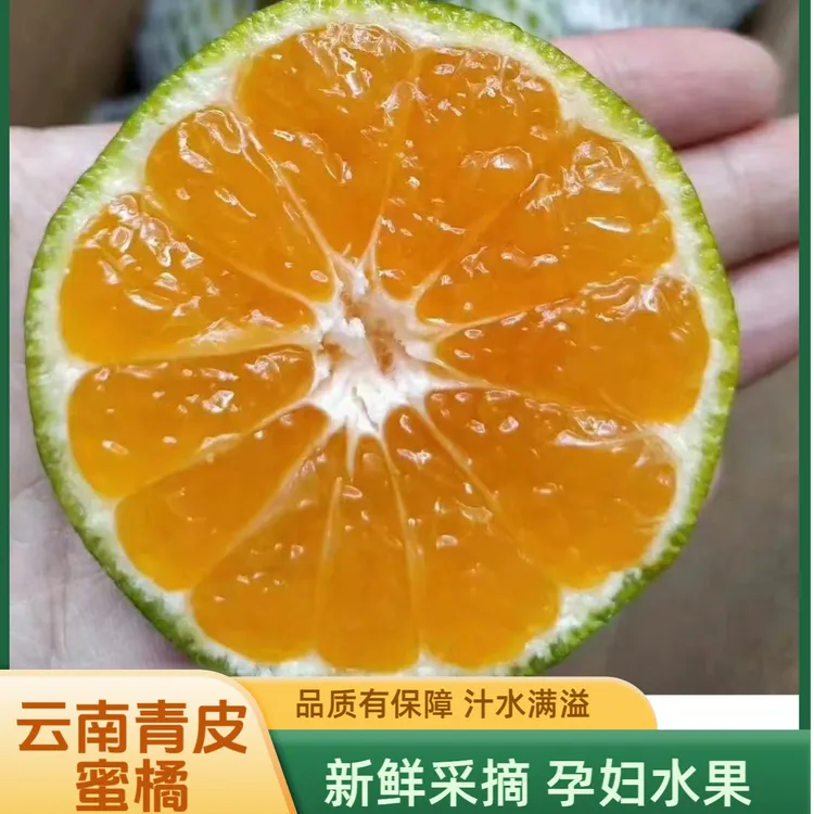 【顺丰包邮】云南青皮无籽蜜橘产地直发现发薄皮新鲜采摘孕妈妈橘子