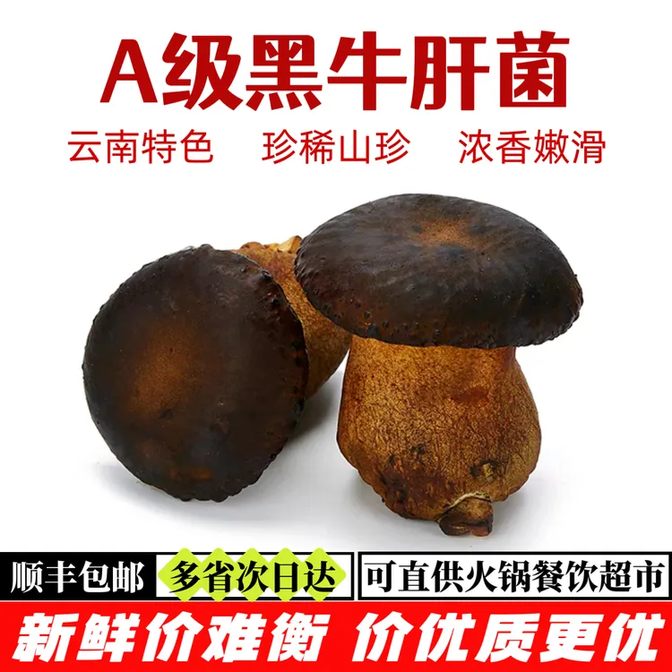 新鲜黑牛肝菌【顺丰包邮】云南特产见手青菌子菌菇肉厚鲜嫩火锅食材