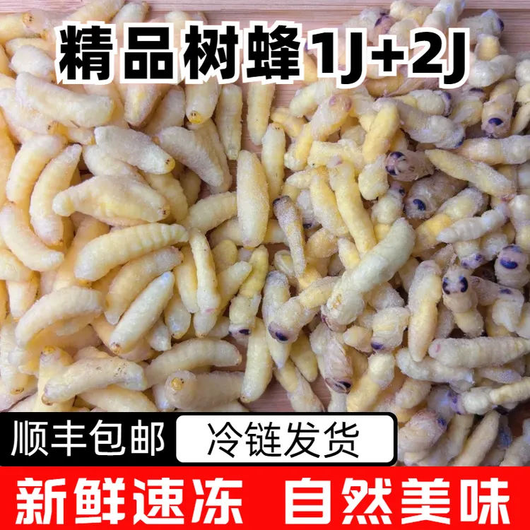 树蜂1+2蜂蛹新鲜速冻蜂蛹今年新货马蜂胡蜂葫芦蜂