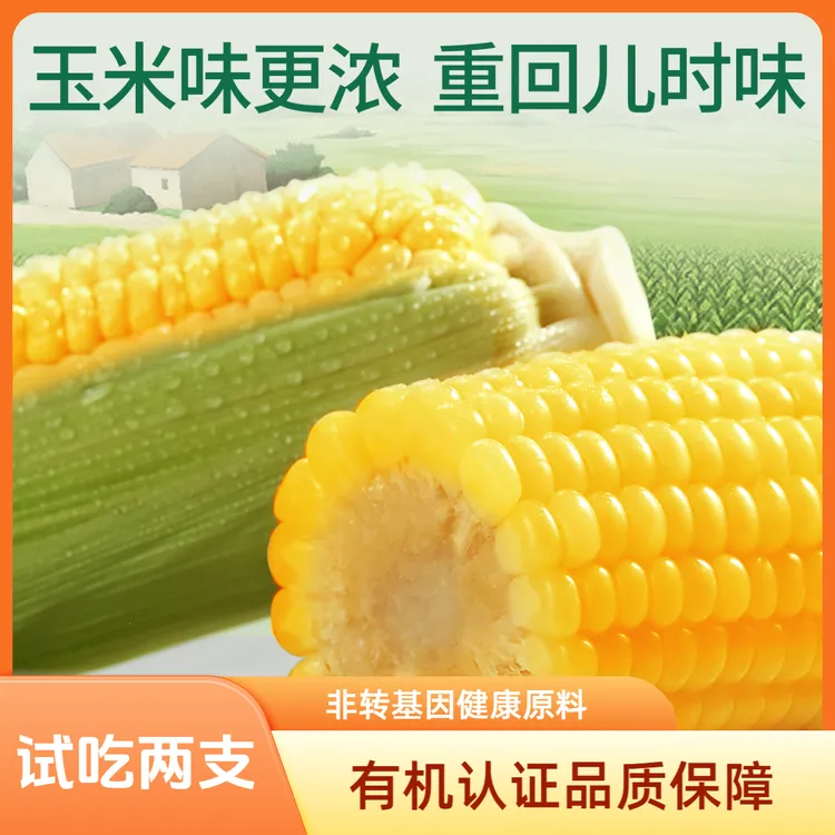 天勤粒粒净ZB铝箔黄甜糯有机玉米全新品种口感升级300g*7