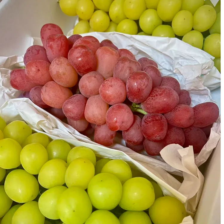 包邮自家本地葡萄三拼