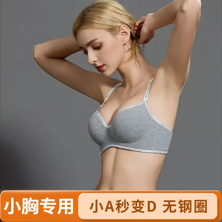小胸显大无钢圈聚拢收副乳文胸舒适加厚上托调整型夏季内衣胸罩