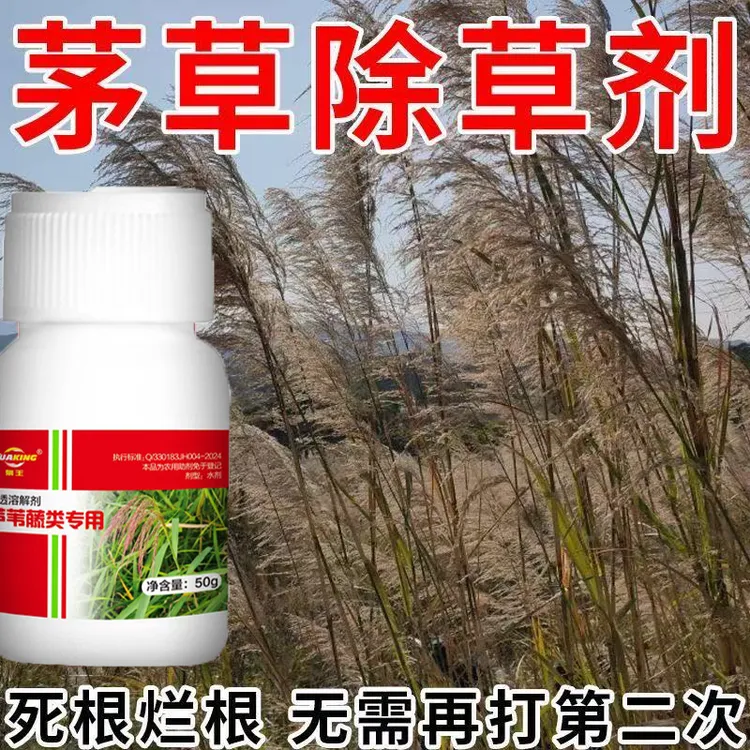 芦苇强力除芦苇芦苇克星茅草净芦苇净强效除茅草专用助剂商品图