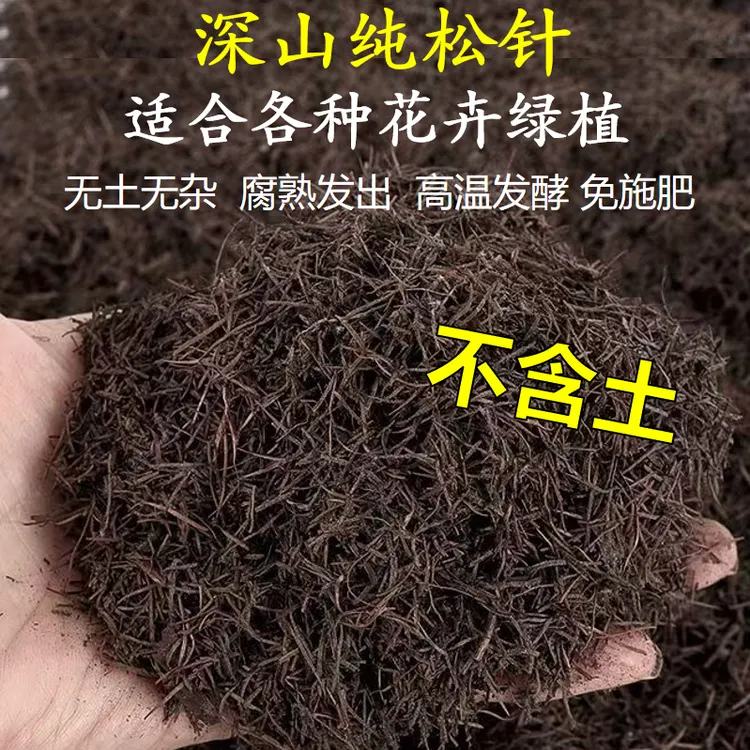 纯天然纯松针无土腐熟发酵兰花月季花杜鹃蓝莓茶花专用酸性营养土