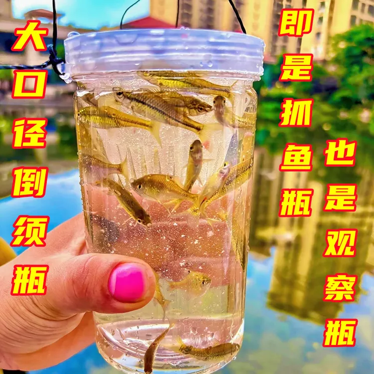 儿童户外捕鱼倒须抓鱼瓶亲子互动工具捉鱼池塘公园小溪工具周末