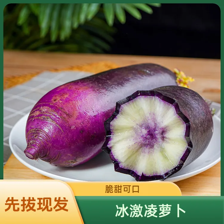 冰淇淋水果萝卜潍坊正宗新鲜冰糖心冰激凌水果脆甜萝卜山东紫萝卜