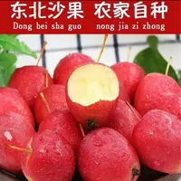 东北特产鸡心果新鲜采摘脆甜多汁现摘现发