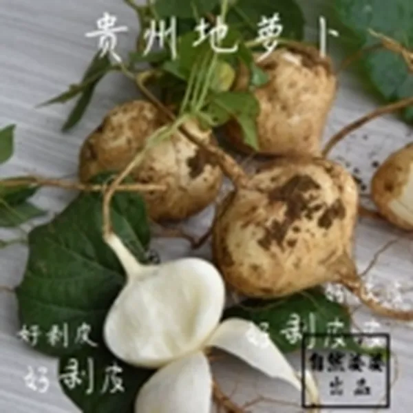 新鲜包邮贵州农村特产水果生吃水果贵州地萝卜凉薯土瓜地瓜白地瓜