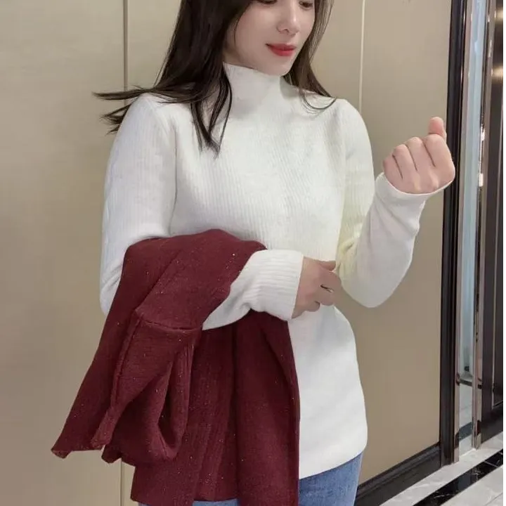 【夏萍服饰】女士加绒加厚韩国绒毛衣针织衫套头纯色半高领打底衫