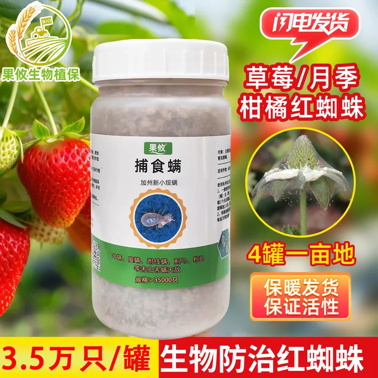 果攸捕食螨天敌生物防治草莓红蜘蛛月季花卉蔬菜防虫农业生物用品