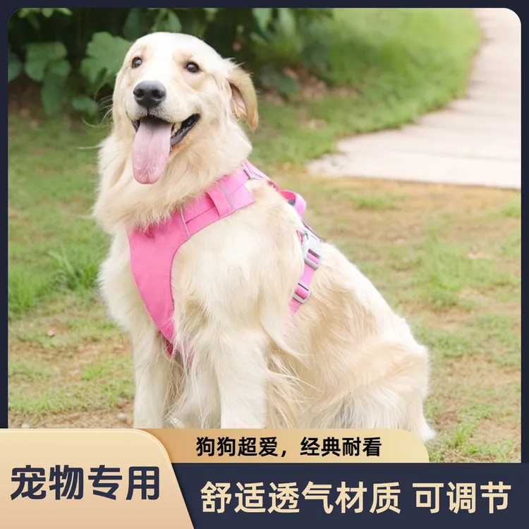 新款狗狗防水胸背牵引绳轻轻薄舒适防爆冲适合户外遛狗